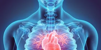 British Society for Heart Failure: 25in25 Summit: Saving lives by changing the trajectory of heart failure globally