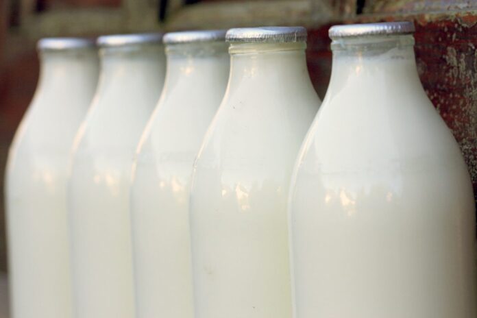 milk