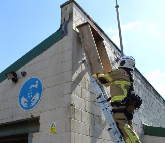 Firefighters Swift-ly Install Nesting Box
