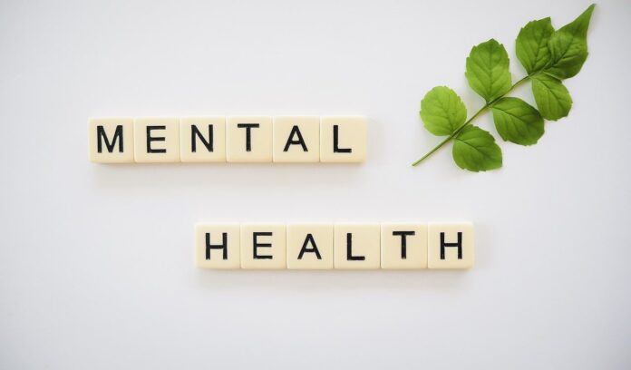 mental-health-g87efde9ff_1280-min
