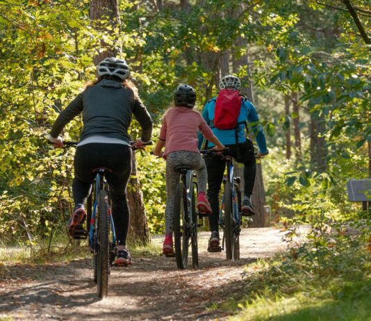 Well-being plan for Pembrokeshire published