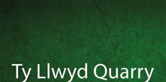 Caerphilly CBC: Ty Llwyd – statemen