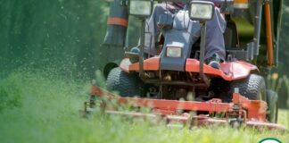 Caerphilly Council’s commitment to reviewing No Mow May