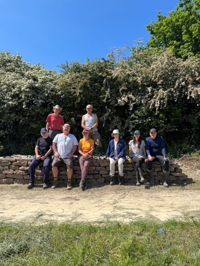 Volunteers Drystone wall May 2023 LtR back row Peter Fullerton, Chris Moore. LtR front row -min