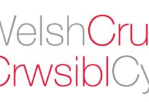 Deg ymchwilydd wedi’u dewis ar gyfer rhaglen Crwsibl Cymru