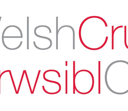 Deg ymchwilydd wedi’u dewis ar gyfer rhaglen Crwsibl Cymru
