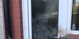 Newport man receives prison sentence after dog suffered with heat exhaustion
