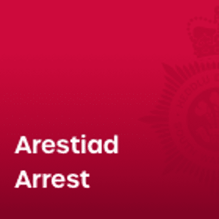 arrest_website_preview-min