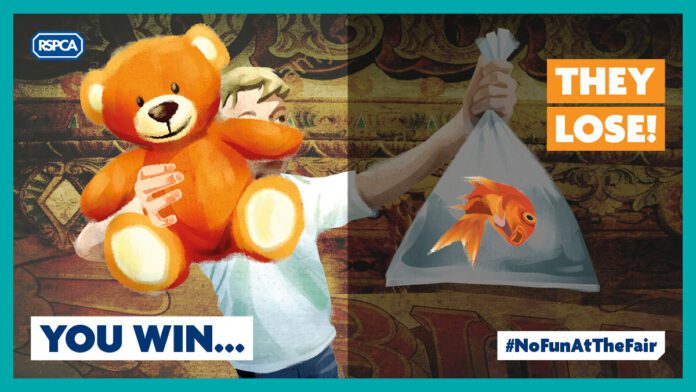 1203_Pets as prizes_Twitter_1200x675_A2