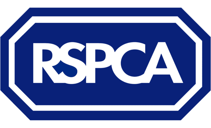 RSPCA_Logo_Big