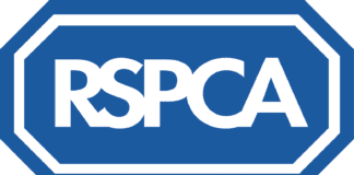 Senedd Members support new powers for RSPCA officers in ‘landmark’ debate