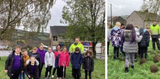 Penllwyn Primary pupils plant roots for success