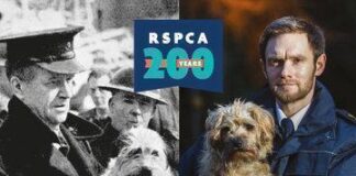 More than 17,000 animals rehomed by the RSPCA across Wales in last decade