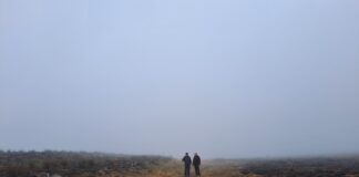 Major Peatland Site Restored in Neath Port Talbot