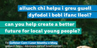 Cyngor i Lansio Cynllun Camu i Lawr Maethu Plus Newydd