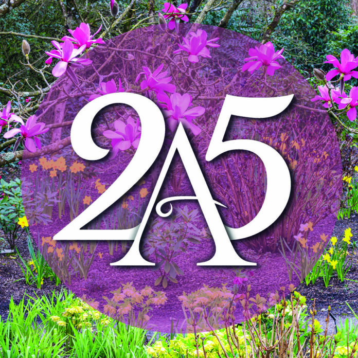 25th anniversary with background