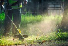 Research Shows Gardening Improves Strength, Balance, & Mental Health In Older Adults