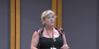 Senedd debates ‘irrational’ culture cuts