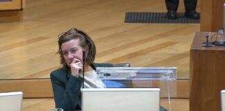 Senedd backs call for more dentists