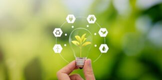 Free ‘green’ training for Caerphilly private landlords