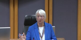 Senedd sounds alarm on fire authorities