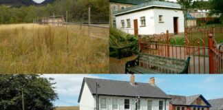 Would you like to run a community facility?