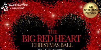 Join Us for a Magical Christmas Ball For A Great Cause