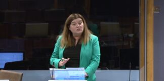 Plan for gender-balanced Senedd ‘lacks teeth’