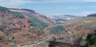 Avison Young brings Cwmcarn Forest Drive to market in unique leisure development opportunity