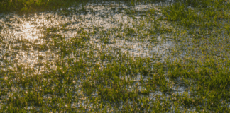 New Sport Wales Storm Damage Fund Now Open for Applications