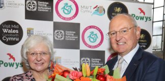 Former Mid Wales tourism chief recognised for her 25 years’ service