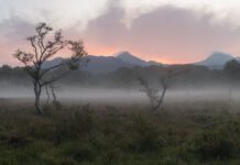 Photographic artist Brad’s ‘Finding Light’ exhibition to open in May