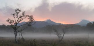 Photographic artist Brad’s ‘Finding Light’ exhibition to open in May