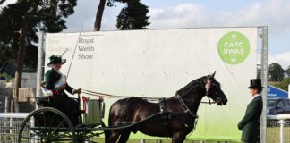 Equine judges announced for the 2025 Royal Welsh Show