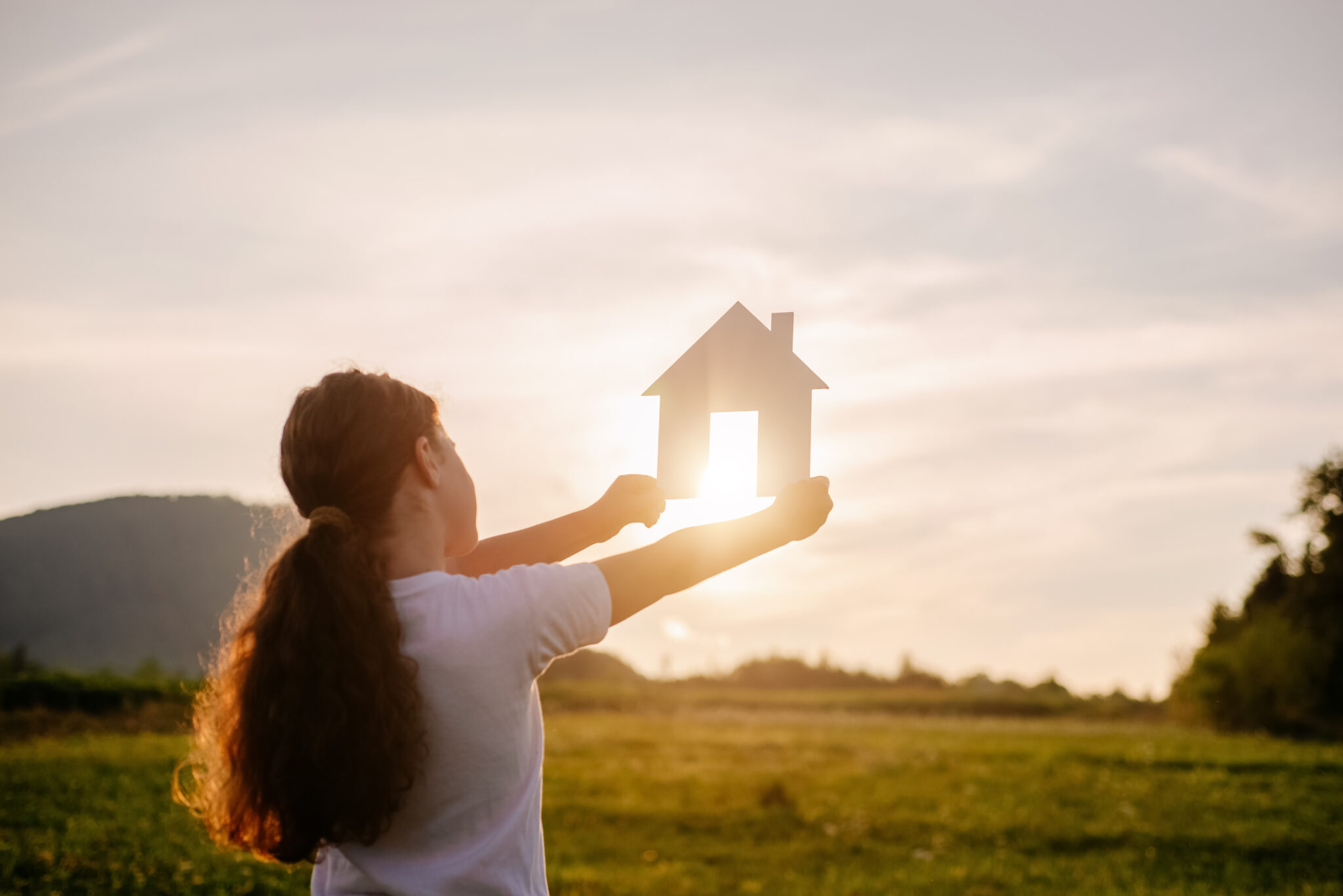 Housing investment plans agreed