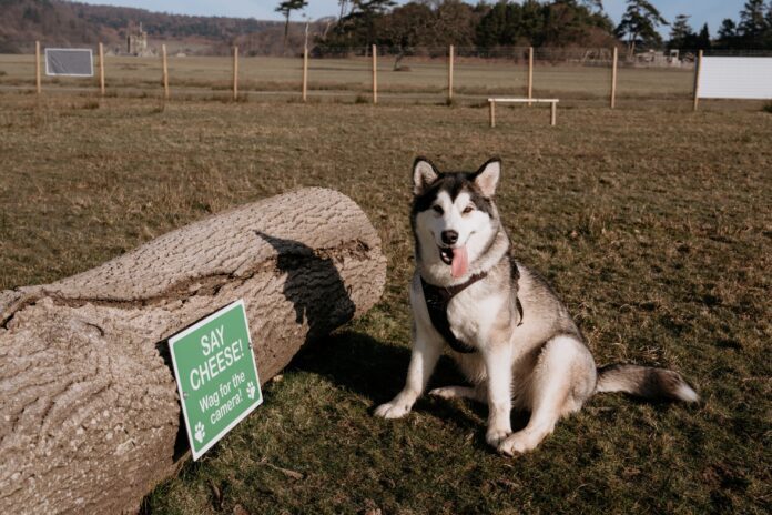 MARGAMBARK_65_1