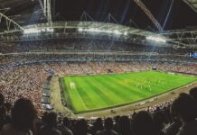 Study reveals Cardiff is one of the best UK cities for sports fans