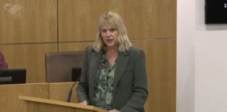 Senedd debates calls to save ‘essential’ stroke services