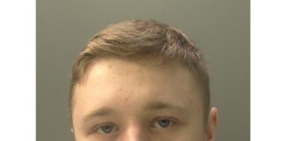 Teen Sentenced for Multiple Sexual Offences Against Children