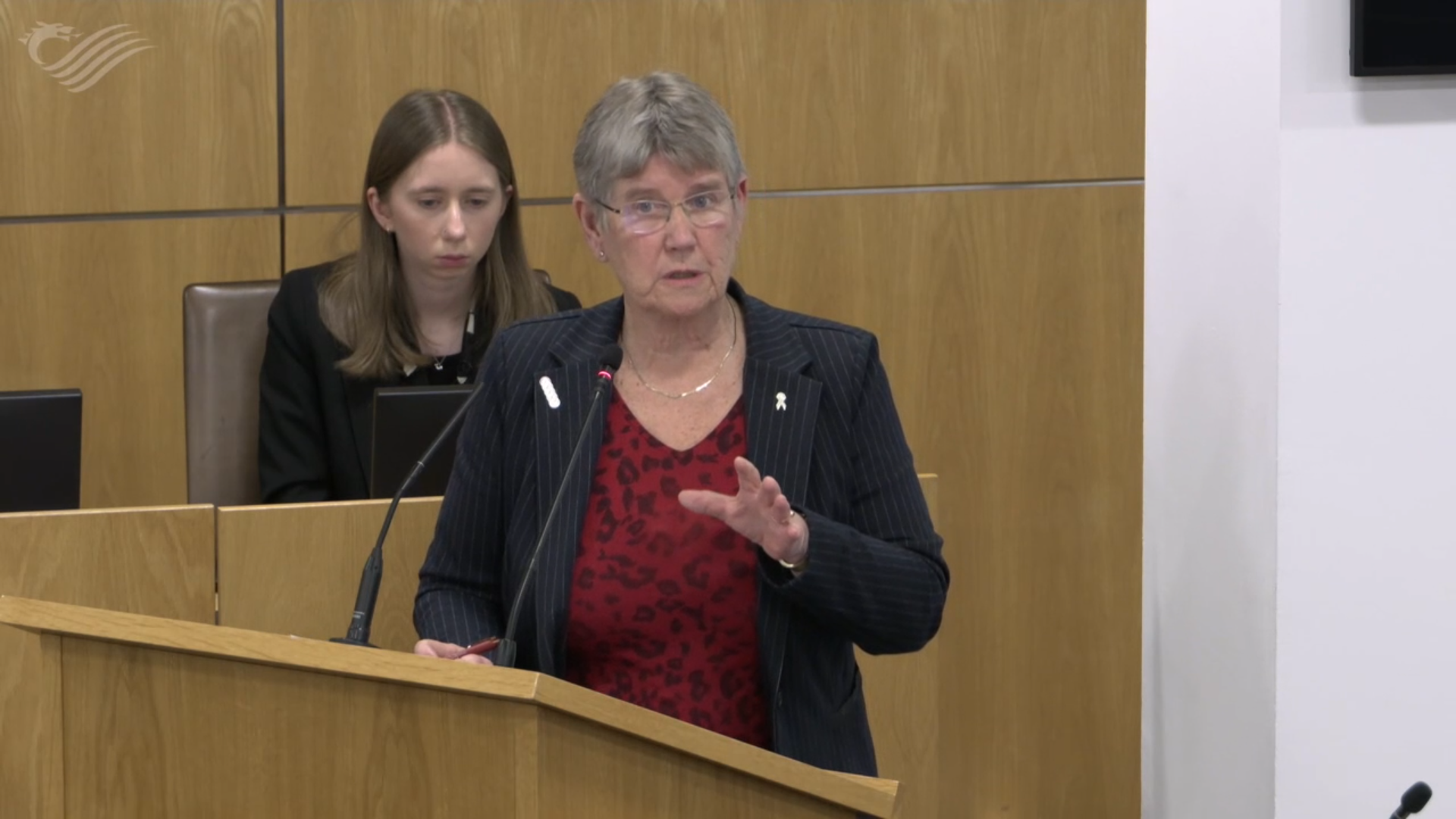 Former minister calls for urgent devolution of police powers