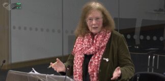 Only fair or a silly idea?: Senedd split on calls for 2% wealth tax
