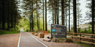Cwmcarn Forest Drive update