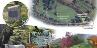 Caerphilly County Borough to Host COVID-19 Day of Reflection at Covid Memorial Woodland