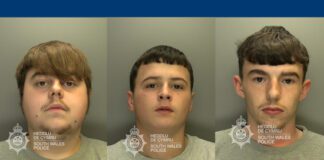 Teen trio sentenced for crime spree in Cardiff and Vale of Glamorgan
