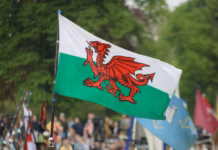 Owain Glyndŵr: Rebel, Prince, Visionary