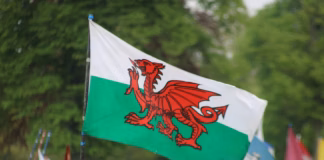 Owain Glyndŵr: Rebel, Prince, Visionary