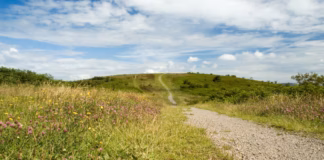 Have Your Say On Outdoor Access In Caerphilly