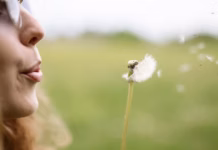 Is Your Garden Making Your Hay Fever Worse?