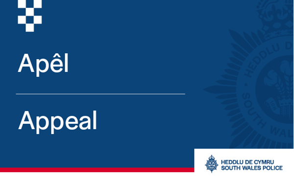 Serious assault Lydstep Park, Gabalfa: Appeal for witnesses and CCTV
