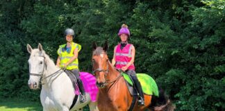 Drivers urged to pass horses safely as part of Operation Arabis